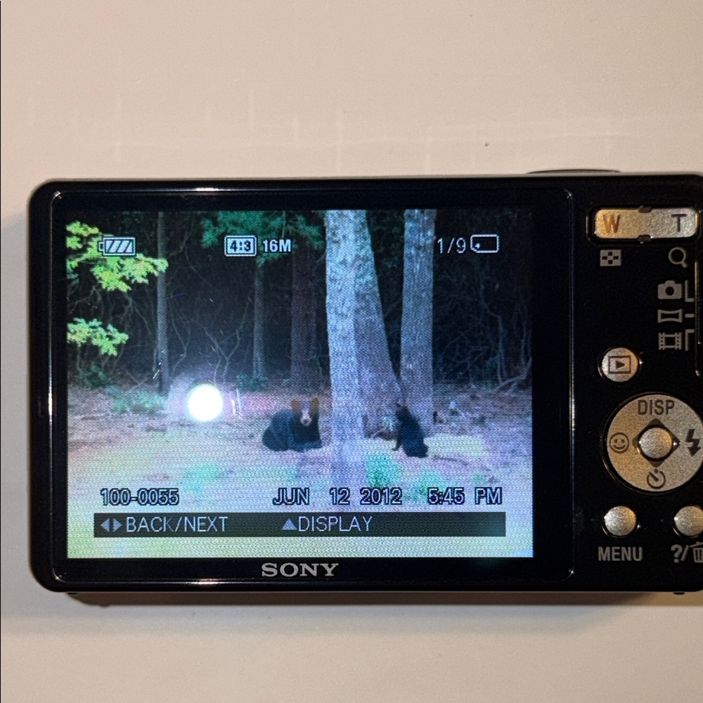 Sony Cyber-Shot DSC-W690 16.1MPCCD Digital Camera - Picture 4 of 13